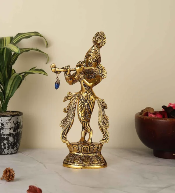 Lord Krishna Decor